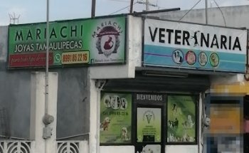 Clinica Veterinaria Herbert