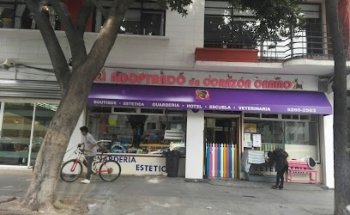 Adoptando un Corazón Canino