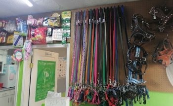 Clínica Veterinaria Belisario