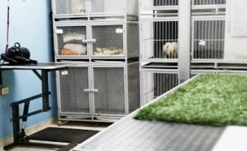 Veterinaria Son Pets Suc San Marcos