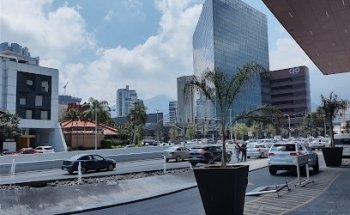 La Jungla de Timo Paseo San Pedro