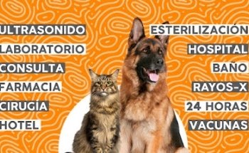 VetsMoon Hospital Veterinario