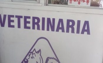 Veterinaria Gallardo