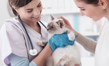 Veterinary Center Xalapa