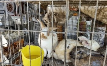 Forrajes Y Veterinaria Casillas