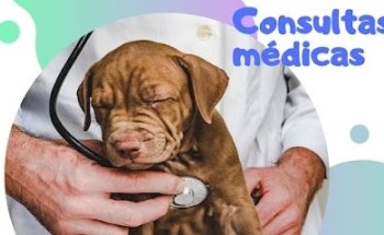 Veterinaria y estética canina todokan Coruña