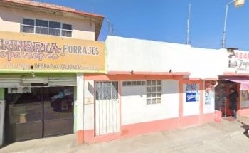 Veterinaria Nopaltepec