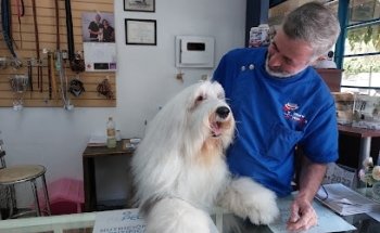 Estética Canina Wuaw Wuapos