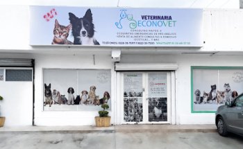 Econovet Clinica Veterinaria