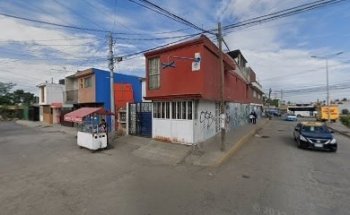 veterinaria mi amigo fiel