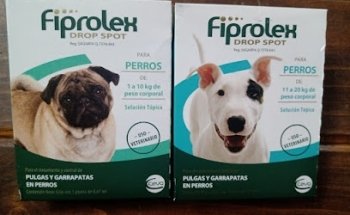 Caleb Veterinaria y estética