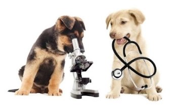 Veterinaria Per-Cani