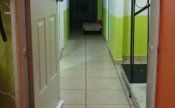 Hospital Veterinario Chatitos