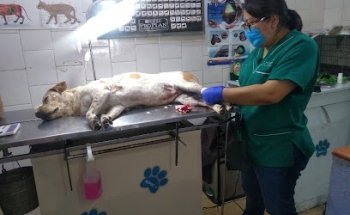 Grupo Fercan Veterinaria