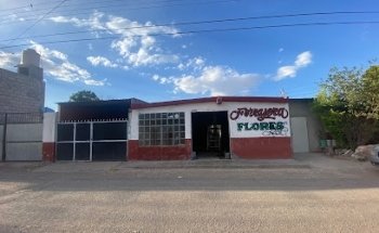 Alimentos Y Forrajes Miguel Flores