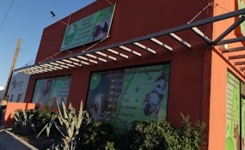 BioVet Juarez