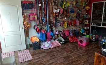 Clínica Veterinaria Bichitos