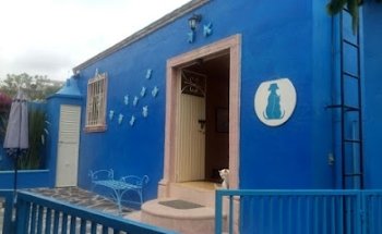 Centro de Salud Animal Delphine A.C.