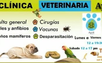 Clínica Veterinaría Ayotl