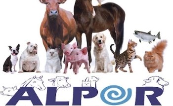 Veterinaria ALPOR S. A. DE C. V.