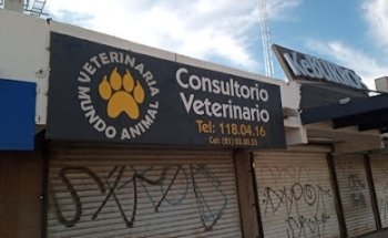 VETERINARY ANIMAL WORLD