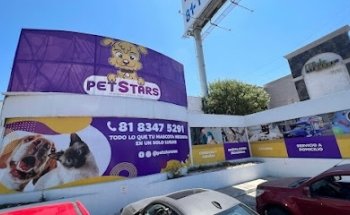 PetStars | Hospital Veterinario en Cumbres | Dermatólogo Veterinario
