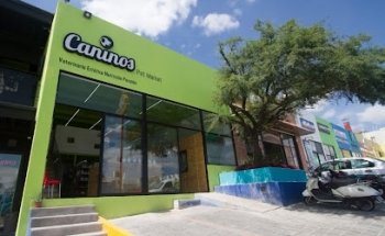 Caninos Pet Market
