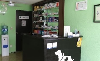 Downtown Veterinary Clinic