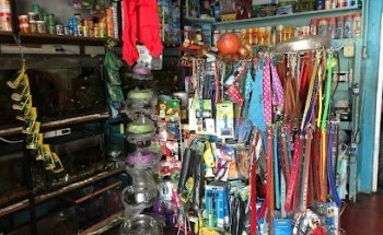 Clínica Veterinaria El Cachorro