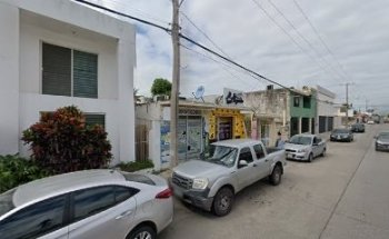 El Perro Elegante / Estética Canina