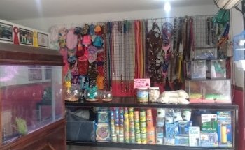 EsteticcKan - Medicckan