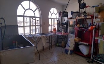 Clínica Veterinaria Tepotzotlán. Gonzalo silva