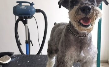 Clínica Veterinaria Fausto