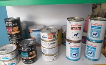 Estetica Canina Mo Pet