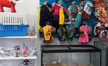 Veterinaria y Estética Canina Fashion Pet's