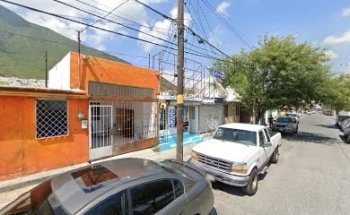 Clinica Y Estetica Veterinaria Camino Real