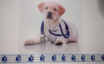 Golden Pets, Veterinary, Cosmetic and Boutique