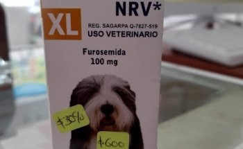 Clinica Veterinaria Mascotland yard