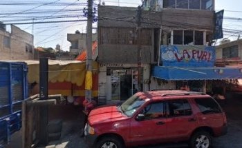 Cebra Clinica Veterinaria