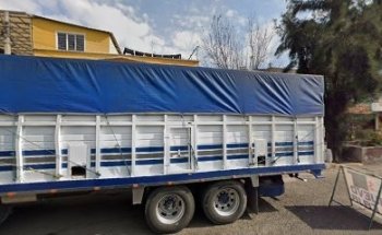 Veterinaria Cervycan