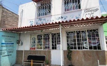 Clínica Veterinaria Del Valle