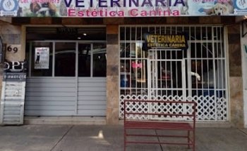 Veterinaria y estética canina 