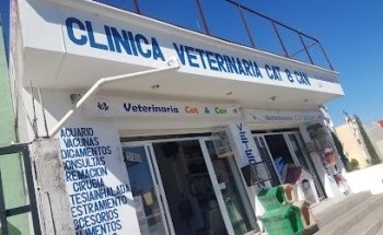 Veterinaria Cat & Can