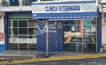 Veterinaria Scottish