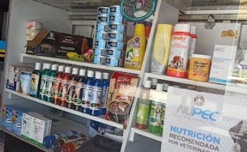 Huellitas Y Huesitos