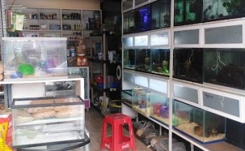 CONSULTORIO VETERINARIO Y ESTETICA CANINA 