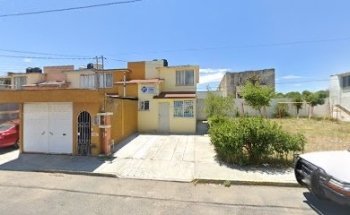 Clínica Veterinaria ESTERILIZACIÓN DE MÍNIMA INVACION