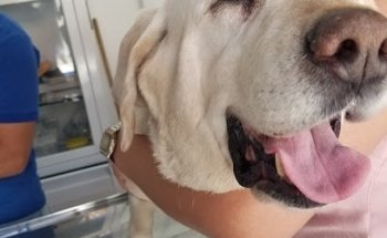 Clínica Veteriaria Las Pistas de Blue