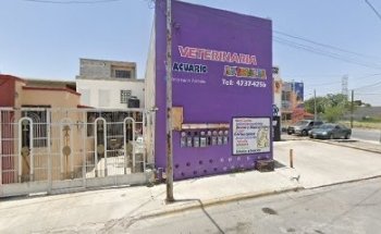 Veterinaria Animalia