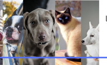 Laboratorio de Analisis Clinicos Veterinarios